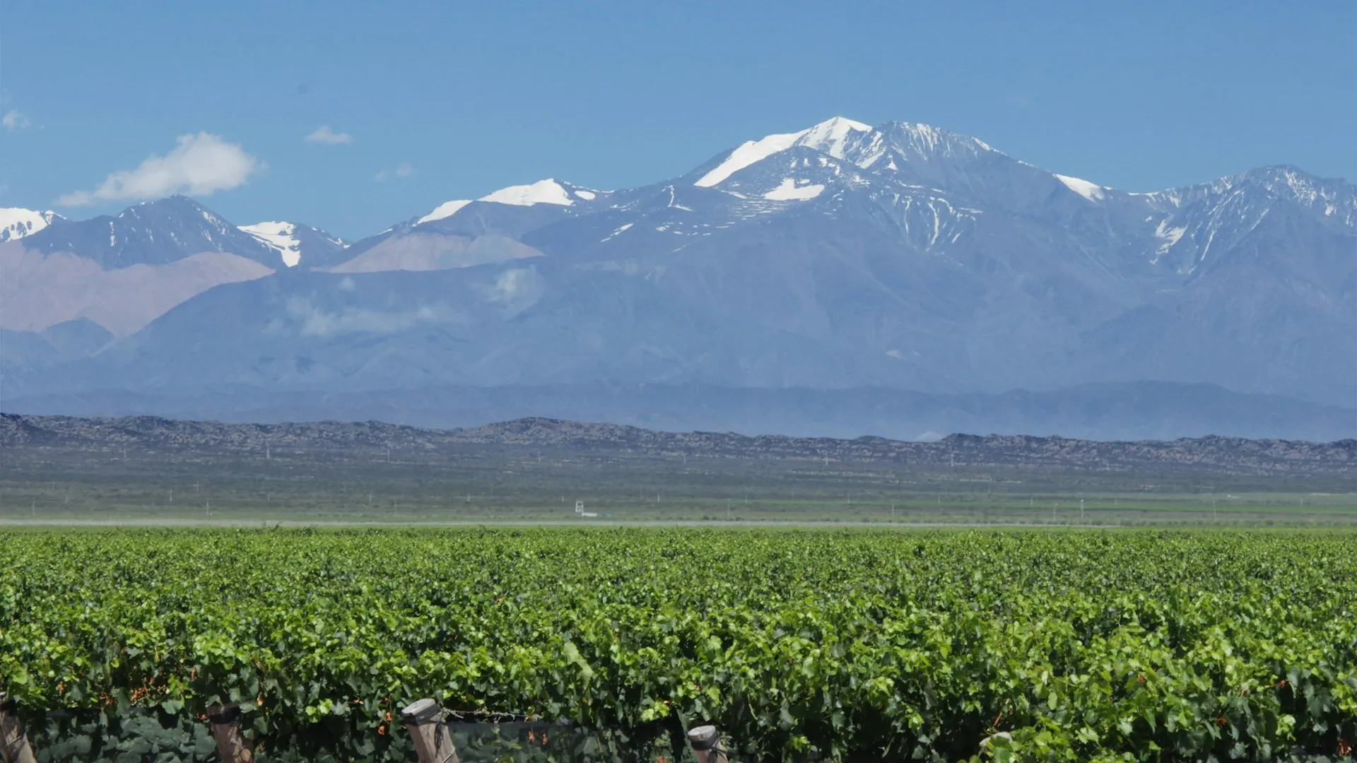 Mendoza Wine Escape