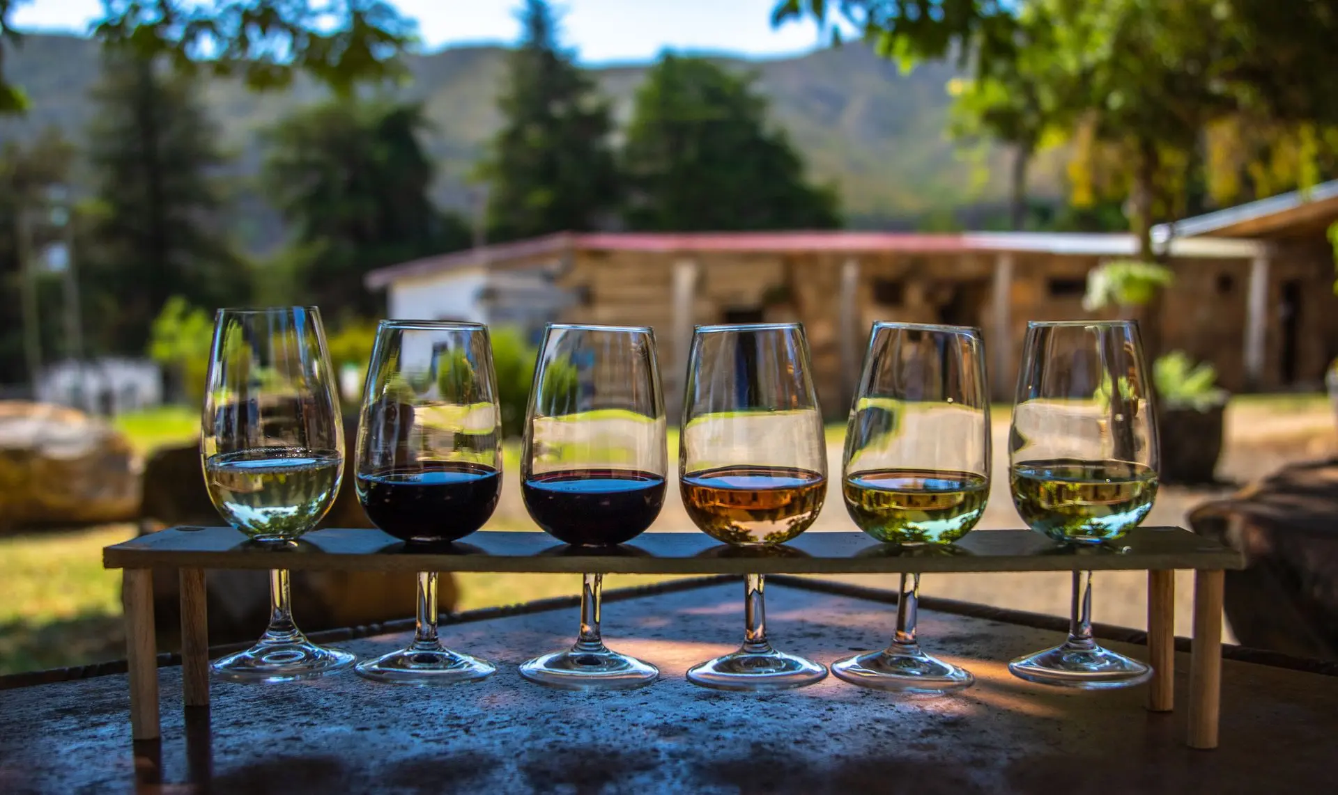 Bodegas & Olive Groves — Classic Wine Tour